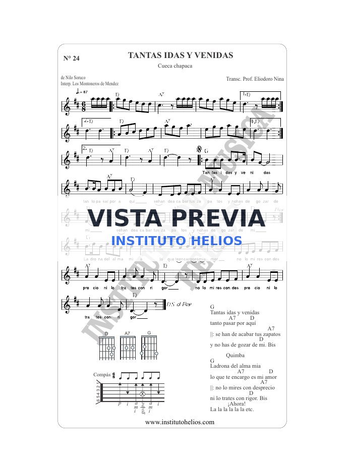 Vista previa de Tantas idas y venidas